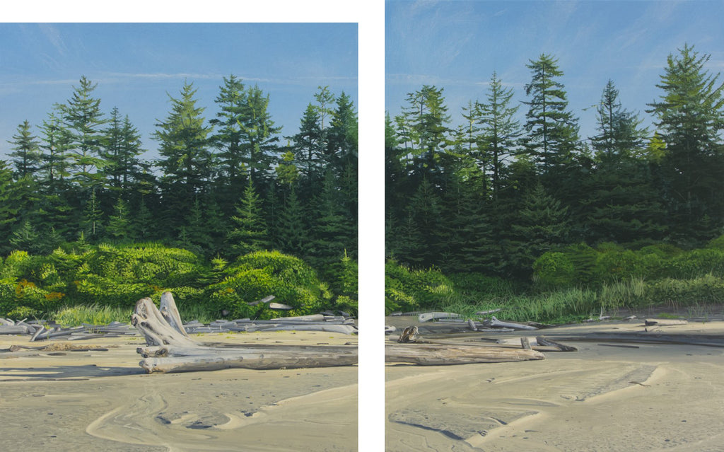 Beach and Forest